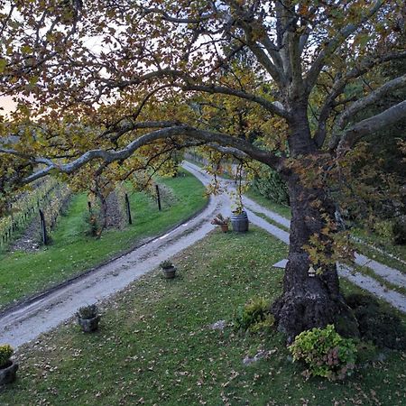 Hotel Castel San Mauro Gorycja Zewnętrze zdjęcie